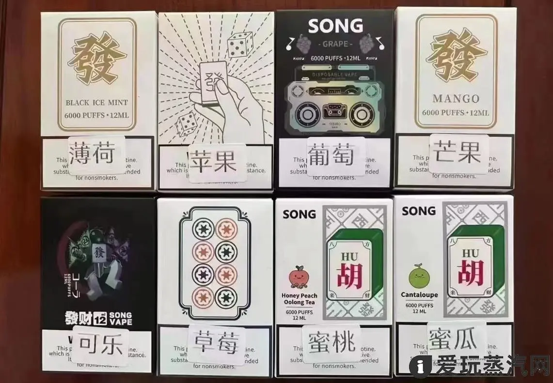 小崧song电子烟